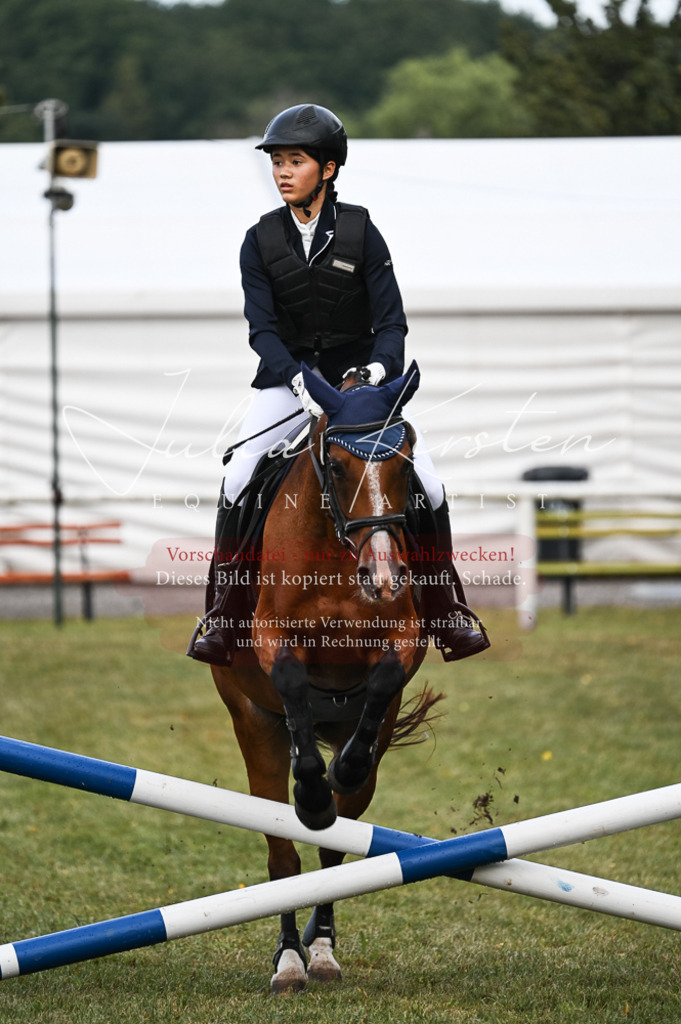 DSC_5499-2 | Pferde- und Turnierfotografie in Westsachsen. Pferdeportraits, Auftragszeichnungen und intuitive Kunst.