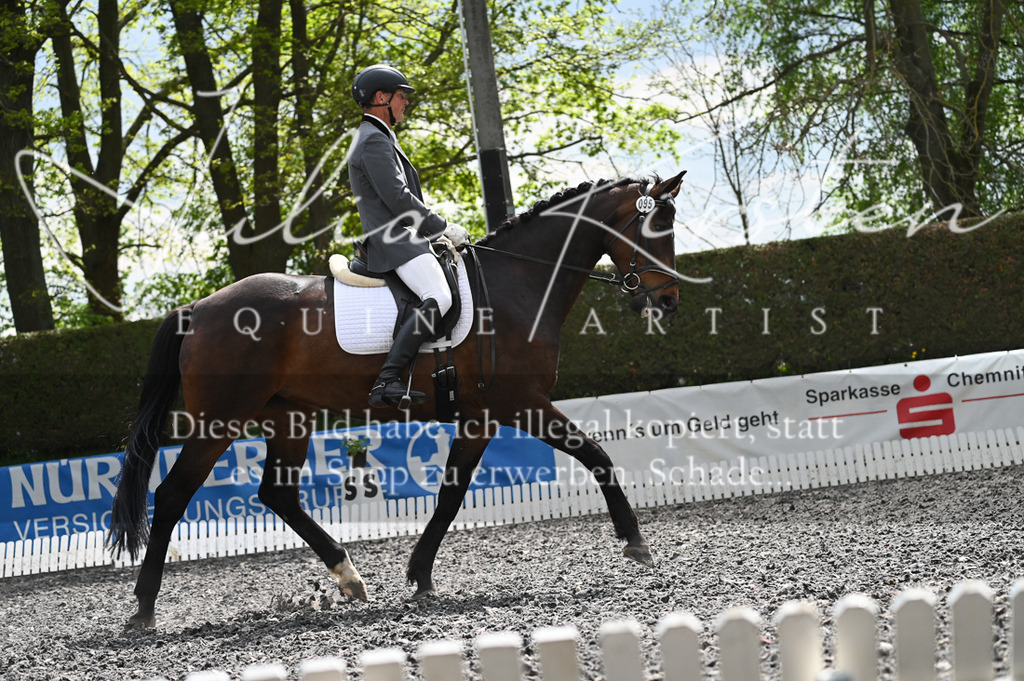 20230512_JK-Röhrsdorf-08-103 | Pferde- und Turnierfotografie in Westsachsen. Pferdeportraits, Auftragszeichnungen und intuitive Kunst.