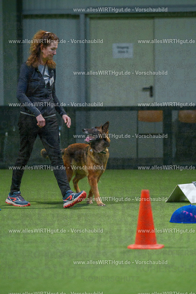 7R505637 | Professionelle Tierfotografie in Mönchengladbach von Daniel Wirth (allesWIRTHgut). Liebevolle & natürliche Bilder von Hunden & Katzen für unvergessliche Erinnerungen.