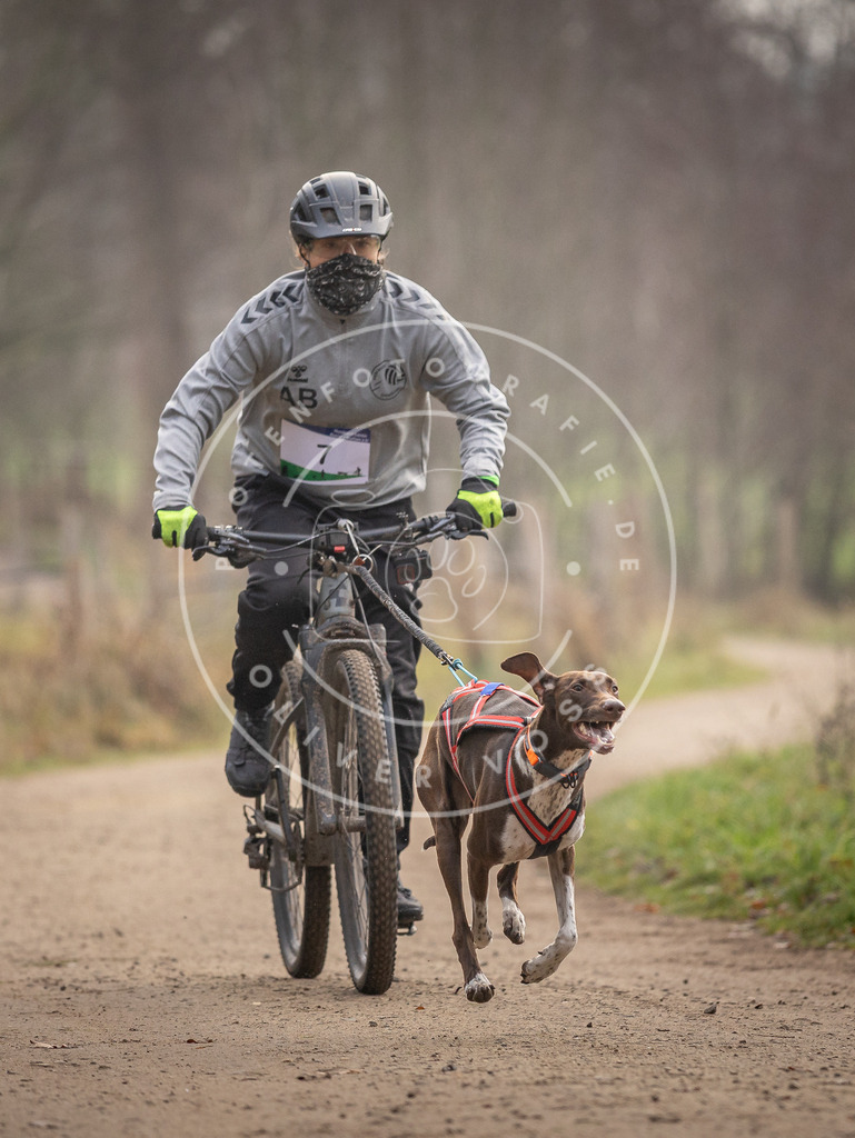 Pfotenfotografie_DV3A1623 | Hundefotografie, Tierfotograf, Pfotenfotografie, Fotoshooting Hund, Hunde Portrait, Hundesport, Hundeportraits, Heideshooting, Hunde, Sportfotograf, Hundefotograf, Turnierhundsport, THS,  - Realisiert mit Pictrs.com