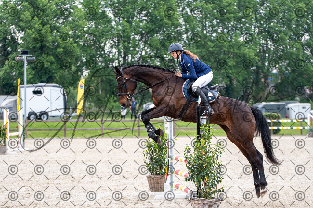 KPT_2249 | andre_photographic