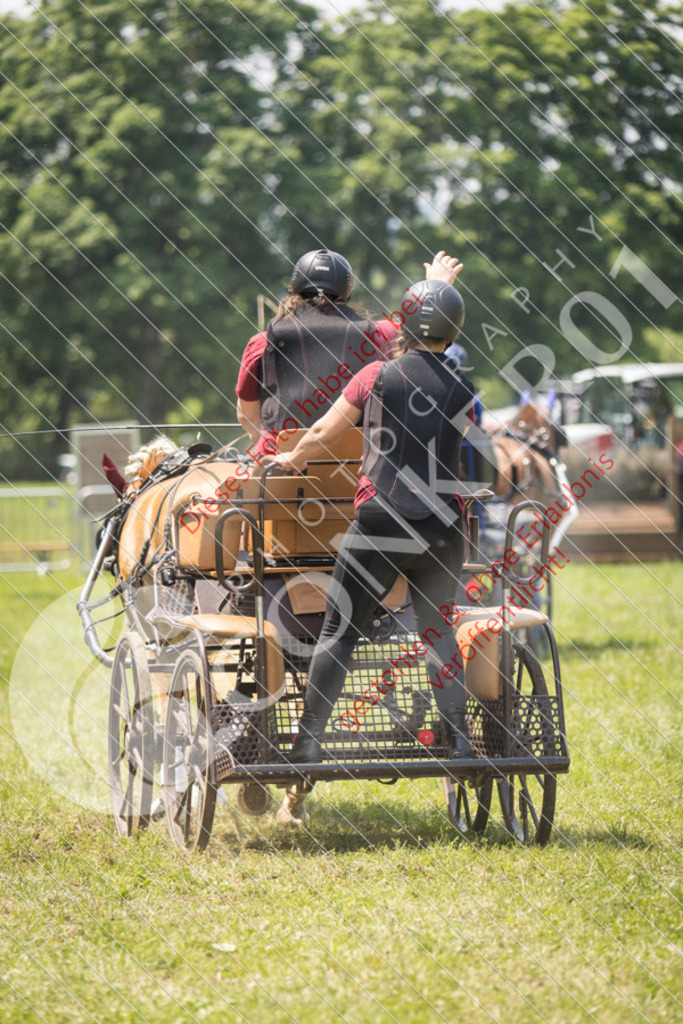 IMG_9363 | Sport-, Event- und Tierfotos in Profiqualität. Einfach auswählen, bestellen und herunterladen. Dein Moment – perfekt festgehalten.