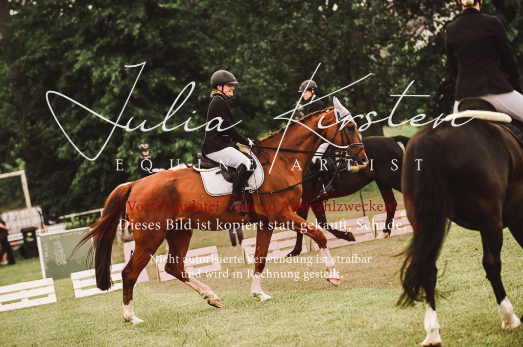 DSC_5071 | Pferde- und Turnierfotografie in Westsachsen. Pferdeportraits, Auftragszeichnungen und intuitive Kunst.