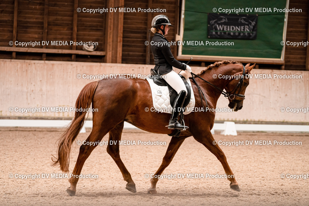 Dressur Tag 2-131 | dv-media-shop - Realisiert mit Pictrs.com