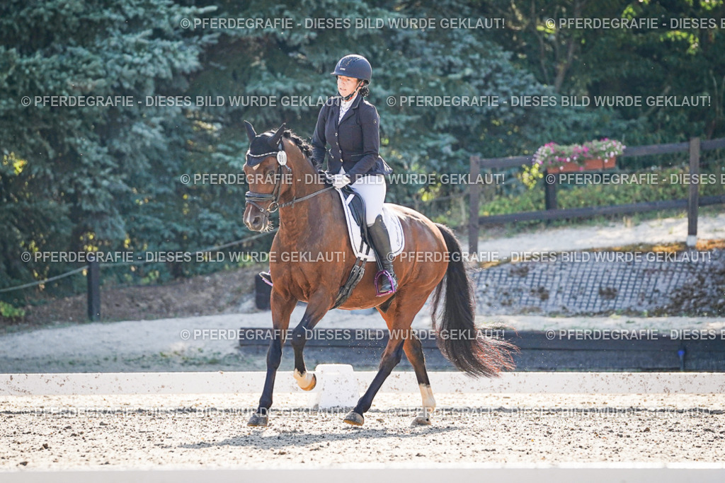 DSC09096 | Pferdegrafie