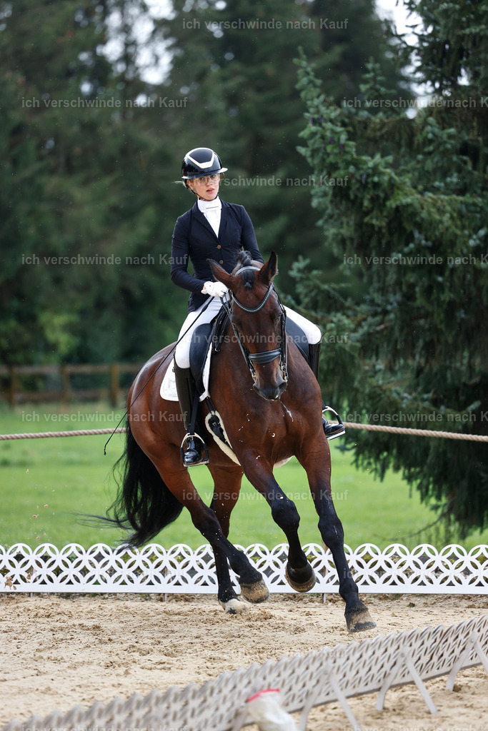 05-022-DRESSUR M_  -StoibPH-4911 | working equitationturnier fotograf videograf stoibphotography marixx film working equitation deutschland reitsport turnierfotografie eventfotografie equestrian events