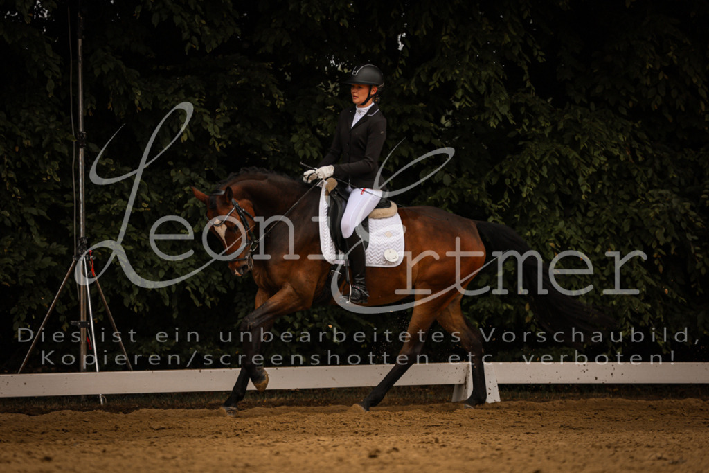 DoDrE00072 | Leoni Ertmer Photography - Realisiert mit Pictrs.com