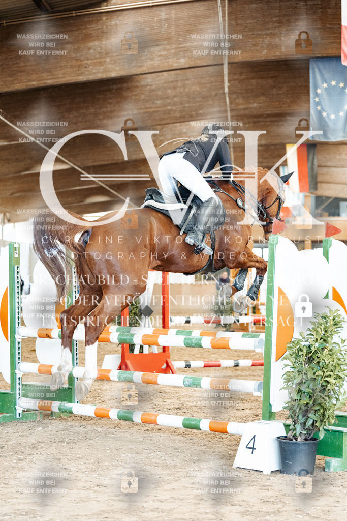 CK905048 | Turnierfotografie Pferdefotografie Trier Rheinland-Pfalz Pferdesport Reitsport Tierfotografie Sportfotografie Pferdevideo Pferdevideografie Equestrianvideography equestrianphotography  - Realized with Pictrs.com