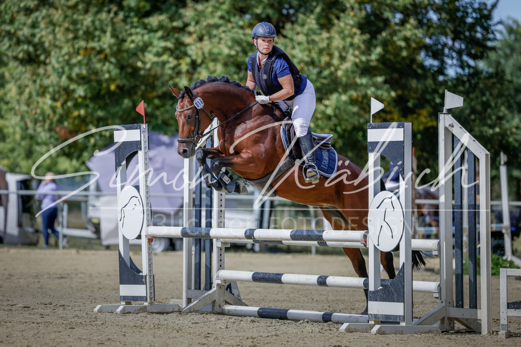 20250906-_3LI5890 | Tierfotografie Pferde, Hunde, Katzen, Haustiere.
Turnierfotografie Reitturniere, Reiten, Springreiten, Dressur in Hanau, dem Main-Kinzig-Kreis und dem Rhein-Main- Gebiet um Frankfurt