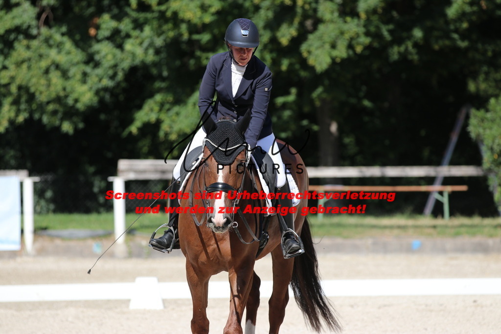 IMG_5536 | lmwpictures - Realisiert mit Pictrs.com