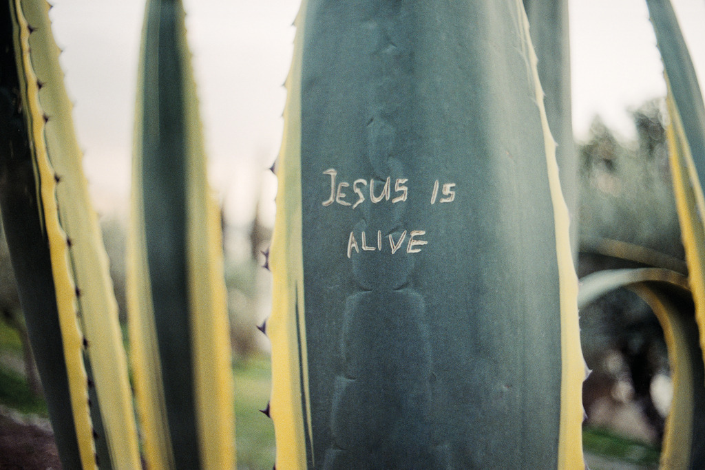 Jesus is alive | ✔ Einzigartiger Designstil von Jonathan Schöps (Master of Arts) +++ ✔ Mit deinem Kauf unterstützt du direkt den selbstständigen Gestalter, unabhängig von Zwischenhändlern +++ ✔ sicher bezahlen per Rechnung, Paypal, Kreditkarte, Vorkasse oder Lastschrift +++ Meine Kunden bewerten undarstellbar mit 4,9/5 ⭐⭐⭐⭐⭐ Sternen.
