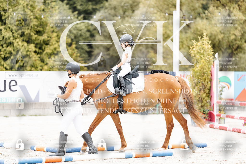 CK907291 | Turnierfotografie Pferdefotografie Trier Rheinland-Pfalz Pferdesport Reitsport Tierfotografie Sportfotografie Pferdevideo Pferdevideografie Equestrianvideography equestrianphotography  - Realisiert mit Pictrs.com