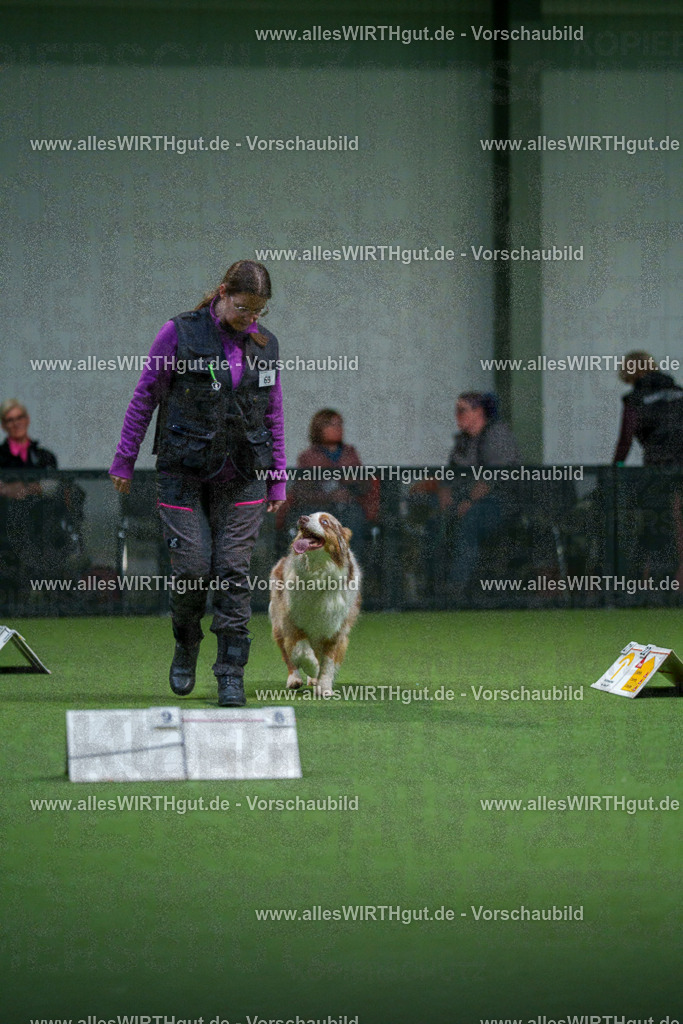 7R503893 | Professionelle Tierfotografie in Mönchengladbach von Daniel Wirth (allesWIRTHgut). Liebevolle & natürliche Bilder von Hunden & Katzen für unvergessliche Erinnerungen.