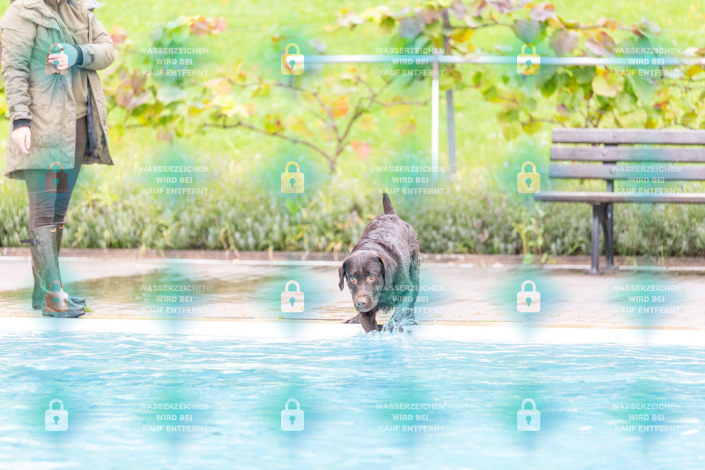 _HP_7288_1000o | HetPix, HetPix Fotodesign, Fotografie, Fotodesign, Webshop, Sportfotografie, Portraitfotografie, Onlineshop, Sportfotografie, Polch, Motorsportfotografie, Eventfotografie