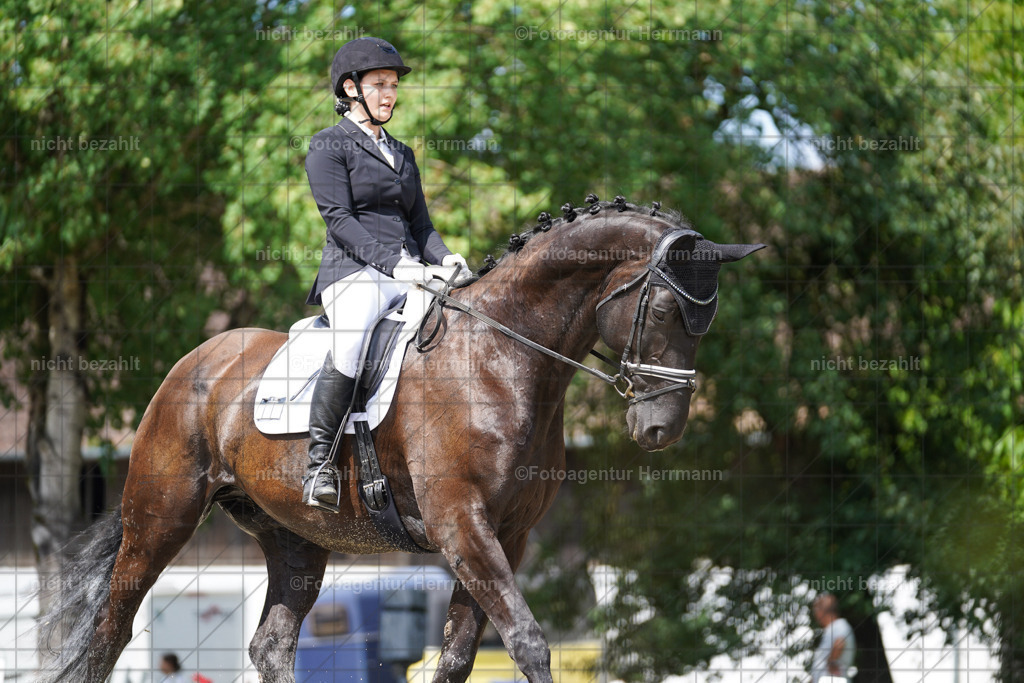 20230826-FAH05452 | Forstinning, 2023, Dressurturnier, Turniersportbilder, Turnierfotografen Bayern, Fotoagentur Herrmann, Reitsportfotografie, Turnierbilder