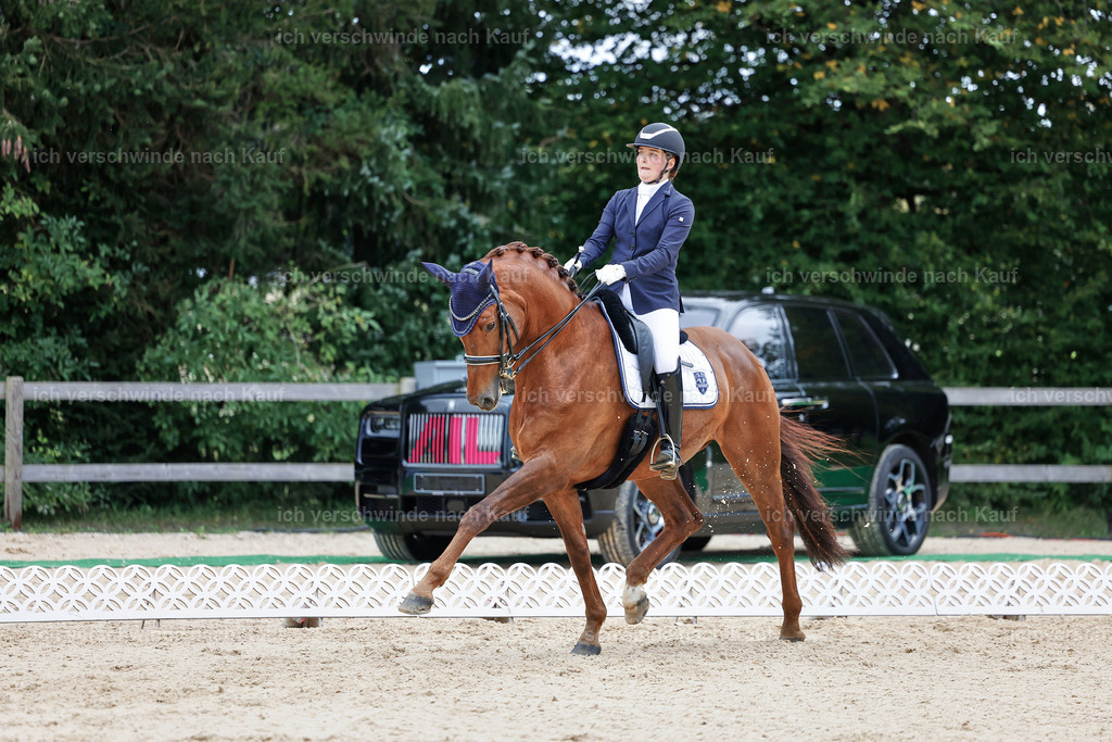 04_1-143-Dressur M__ -StoibPH-StoibPH-2687 | working equitationturnier fotograf videograf stoibphotography marixx film working equitation deutschland reitsport turnierfotografie eventfotografie equestrian events