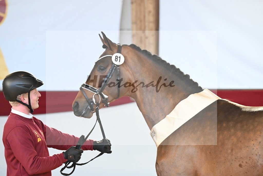 Kat.-Nr. 81 v. Vivino_Freisel_2242916 | hf-fotografie - Realisiert mit Pictrs.com
