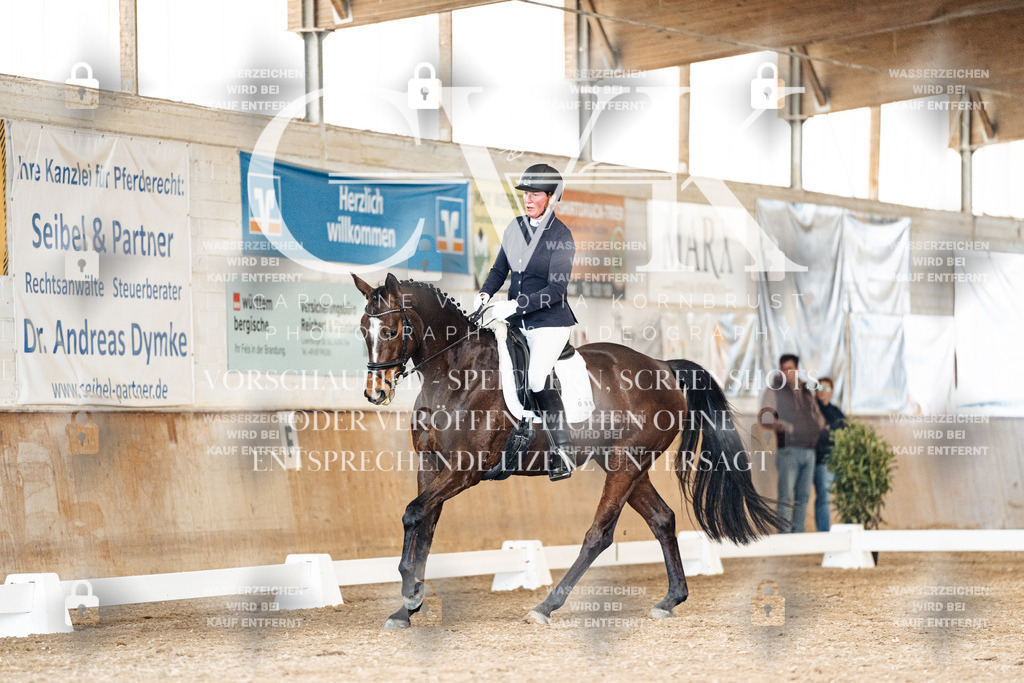 CK901398 | Turnierfotografie Pferdefotografie Trier Rheinland-Pfalz Pferdesport Reitsport Tierfotografie Sportfotografie Pferdevideo Pferdevideografie Equestrianvideography equestrianphotography  - Realisiert mit Pictrs.com