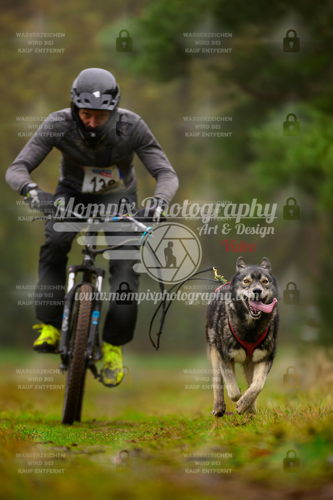 MompixPhotography_Bischwiller2025_Bike-78 | mompixphotography