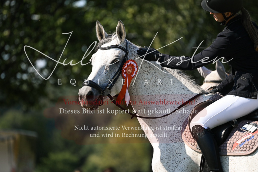 DSC_1550 | Pferde- und Turnierfotografie in Westsachsen. Pferdeportraits, Auftragszeichnungen und intuitive Kunst.