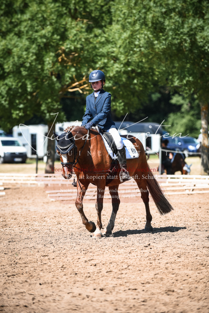 DSC_3538 | Pferde- und Turnierfotografie in Westsachsen. Pferdeportraits, Auftragszeichnungen und intuitive Kunst.