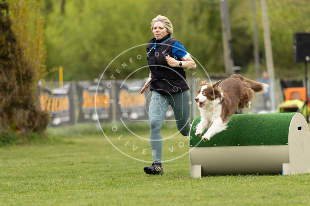 Pfotenfotografie_DV3A8921 | Hundefotografie, Tierfotograf, Pfotenfotografie, Fotoshooting Hund, Hunde Portrait, Hundesport, Hundeportraits, Heideshooting, Hunde, Sportfotograf, Hundefotograf, Turnierhundsport, THS,  - Realisiert mit Pictrs.com