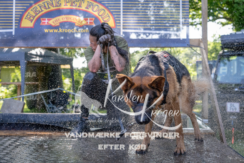 1528_ZZ91485 | kk-dogfotos