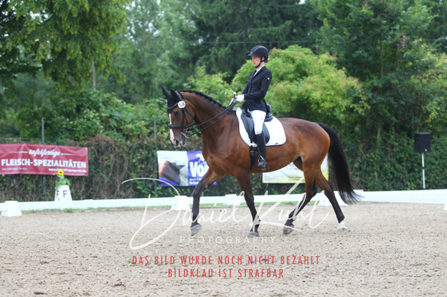 DKP40245 | Turniersportfotografie; Pferdefotografie; Dressurfotografie