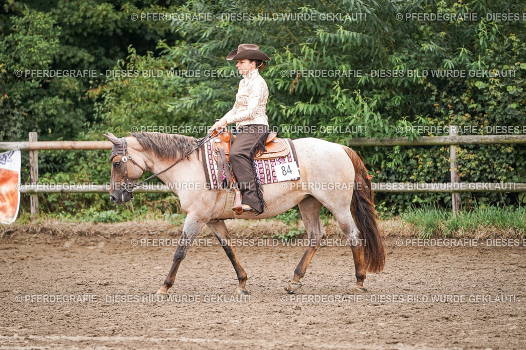 DSC03084 | Pferdegrafie