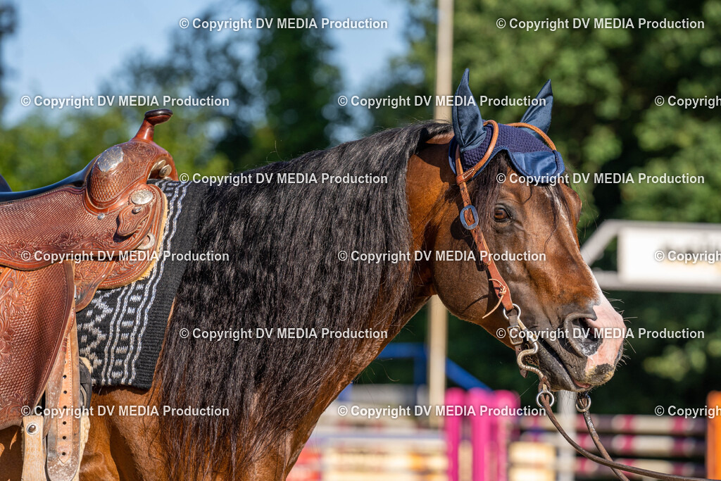 Zeiskam Tag 2-11 | dv-media-shop - Realisiert mit Pictrs.com