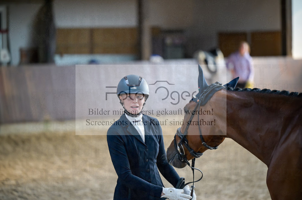 Reitturnier Voxtrup | Entdecke hochwertige Reitturnierfotos von Foto Oger. Professionell, emotional und authentisch – jetzt Lieblingsmomente im Shop bestellen.Deutschlandweite Turnierfotografie. - Realisiert mit Pictrs.com