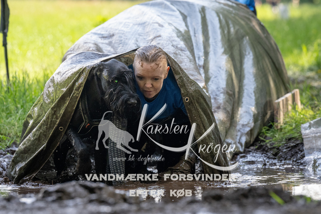 1153_ZZ90011 | kk-dogfotos