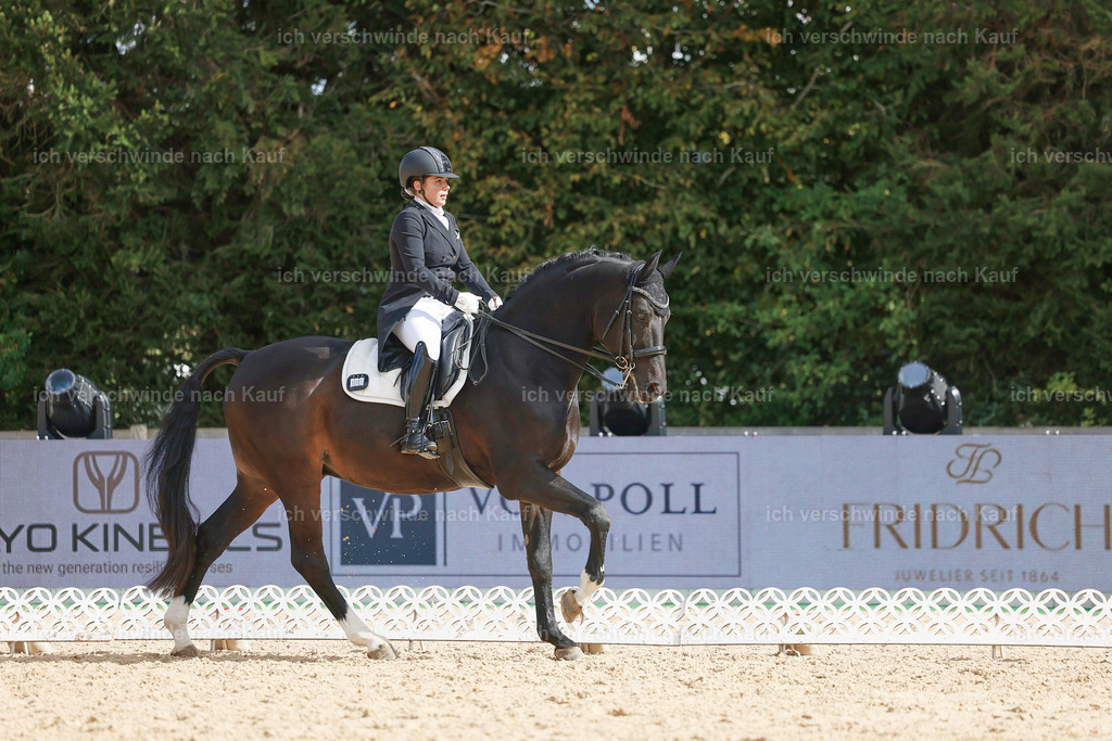 09_2-183-DRESSUR  S_  -StoibPH-5893 | working equitationturnier fotograf videograf stoibphotography marixx film working equitation deutschland reitsport turnierfotografie eventfotografie equestrian events