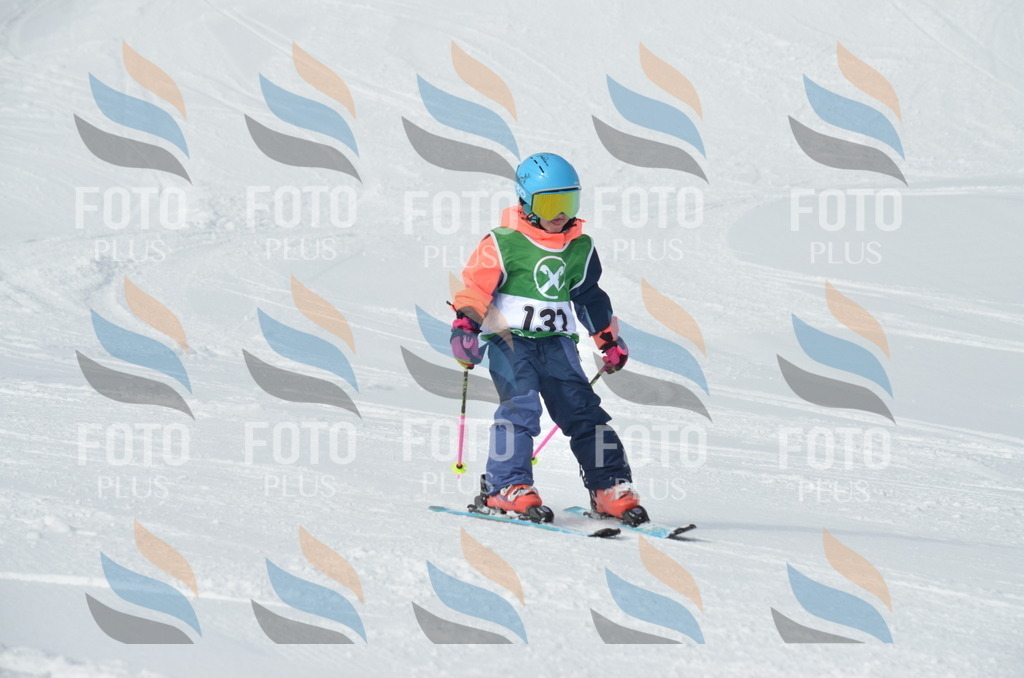 D8530 | holidayphoto