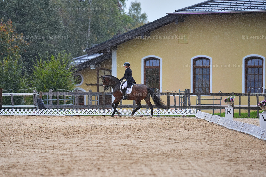 8_1-001-Klasse S_  -Marixx-4336 | working equitationturnier fotograf videograf stoibphotography marixx film working equitation deutschland reitsport turnierfotografie eventfotografie equestrian events