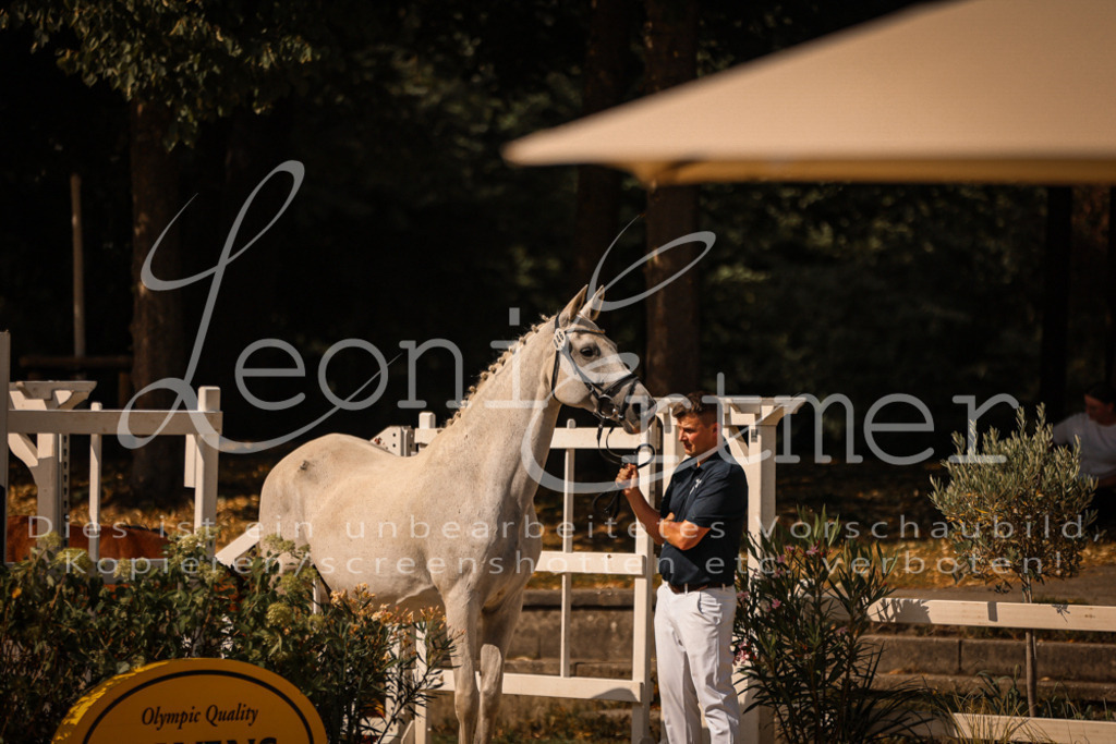 09.DoWBD00091 | Leoni Ertmer Photography - Realisiert mit Pictrs.com