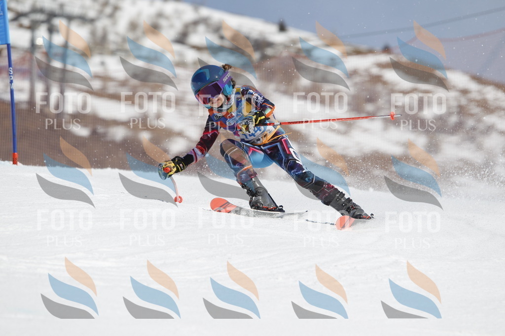 _U3G1107 | holidayphoto