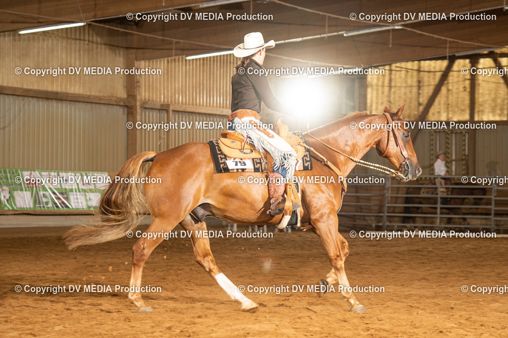 NID01480 | dv-media-shop - Realisiert mit Pictrs.com