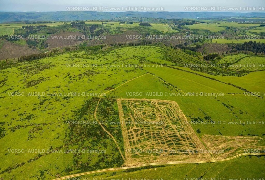 Schleiden240502125DreibornerHochfläche | Luftbild, Waldgebiet und Dreiborner Hochfläche Naturschutzgebiet NSG zwischen Scheuren und Dreiborn, Wiesen und Felder mit Muster, Nationalpark Eifel, Dreiborn, Schleiden, Nordrhein-Westfalen, Deutschland