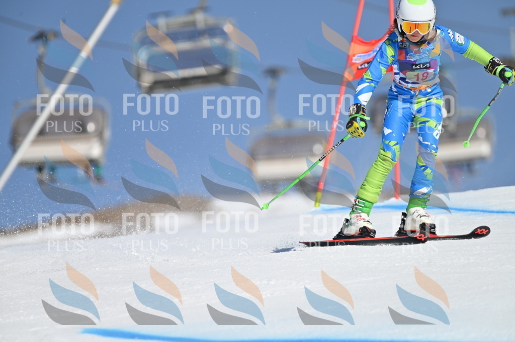 BGV_7913 | holidayphoto