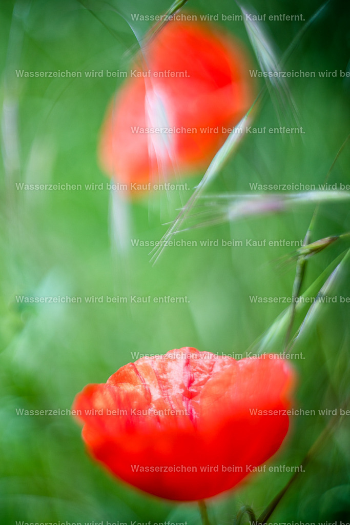 Aus Fehlern lernen | Die Botschaft zum Bild lautet: Deine vermeintlichen Flecken auf der weißen Weste, die du hast, dürfen sich jetzt auflösen, in dem du in deine Liebe gehst, in dem du dich anerkennst für das, was du bist. Fehler gibt es nicht. Wir können lernen und wachsen, denn das ist unser aller Seelenauftrag. Wachstum.