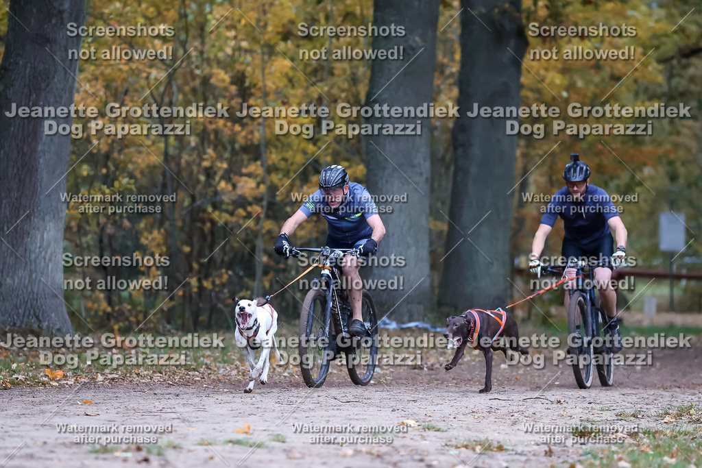 Dog Paparazzi - SD CaniX Championship 2025-67 | Dog Paparazzi Jeanette Grottendiek Fotografie & Videografie - Realisiert mit Pictrs.com