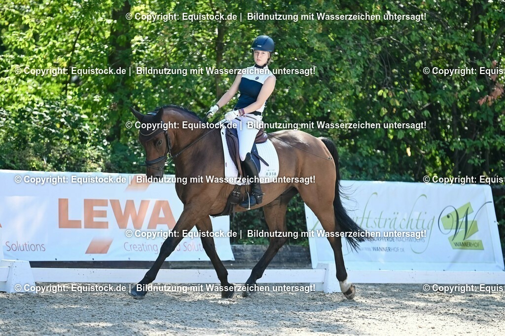 20230908_06_Dressur-L-Trense_0348 | equistock