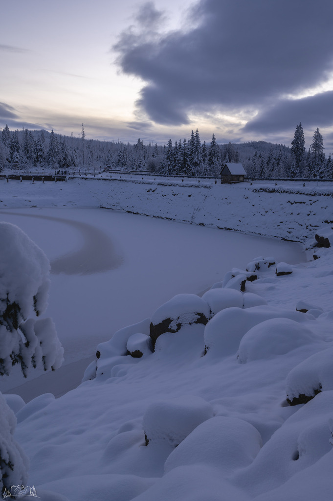 20221212-DSC_4569 | galerie_naturfotografie - Realisiert mit Pictrs.com
