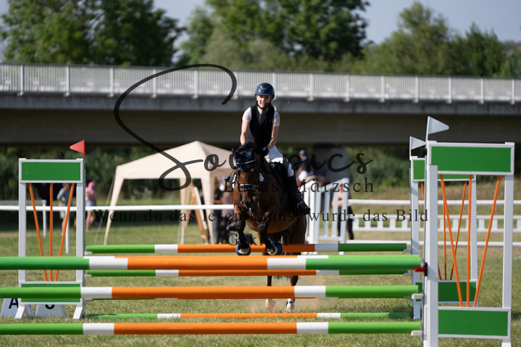 A7V00659 | Pferdefotograf