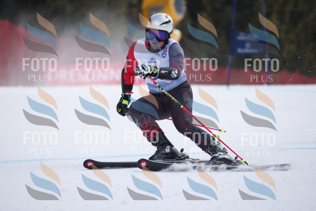 D7812 | holidayphoto