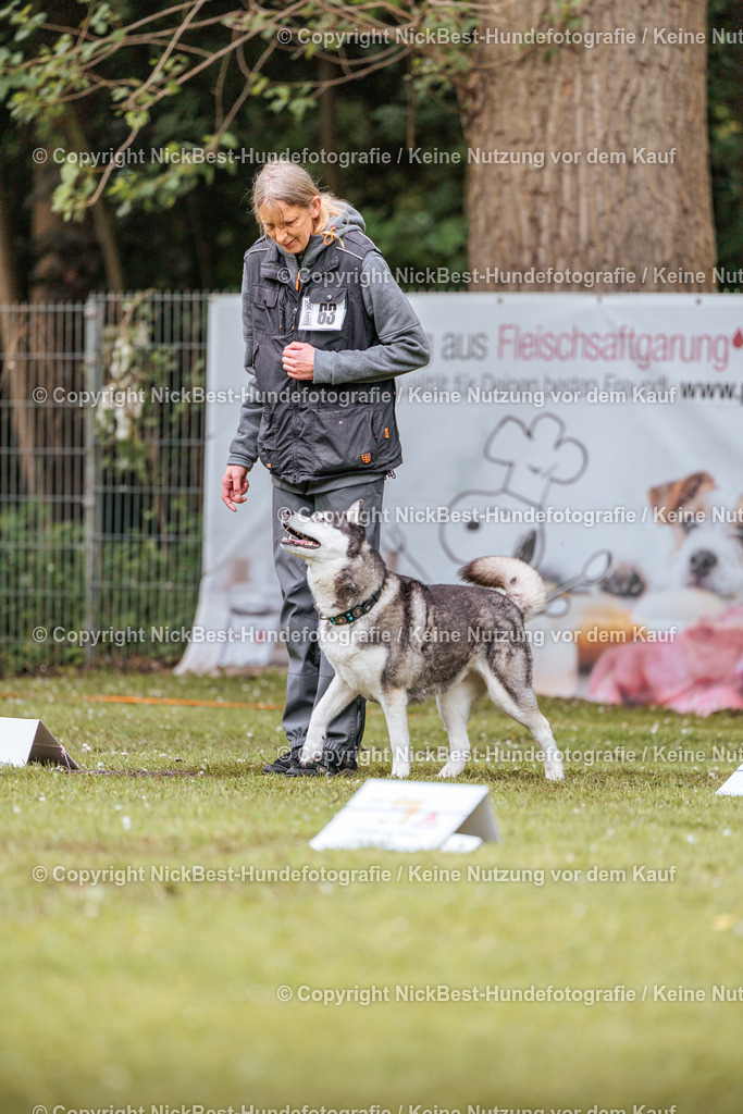 RO-Blumenthal-2026-Nickbest-Hundefotografie-1279 | Dein Hund! Dein Moment! Deine Erinnerungen! Hundefotografie in Bremen Blumenthal. Ich fange die besonderen Momente deines Vierbeiners ein – ob Indoor mit Blitzanlage oder in der freien Natur. Sicher dir dein Moment und dein Termin für eure Erinnerungen.