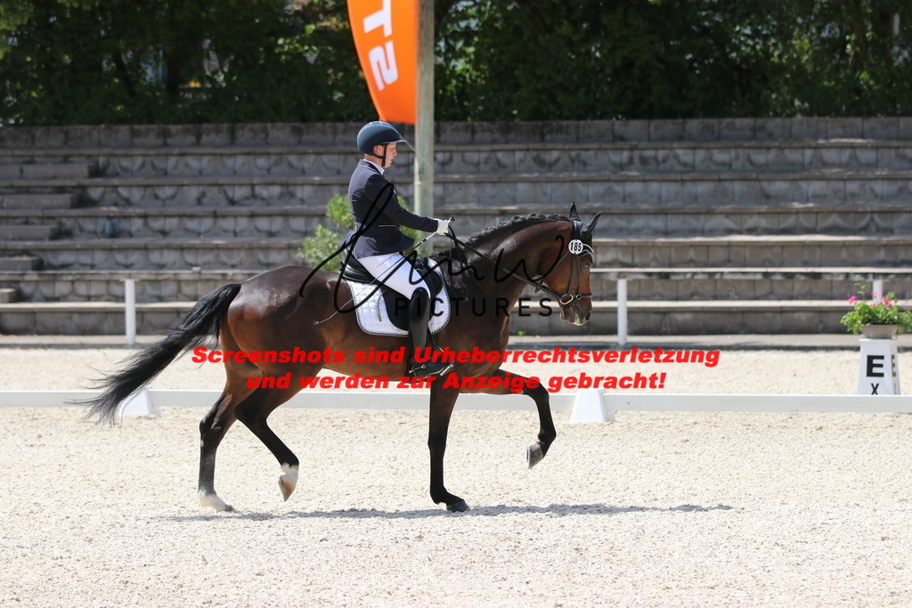 IMG_4537 | lmwpictures - Realisiert mit Pictrs.com