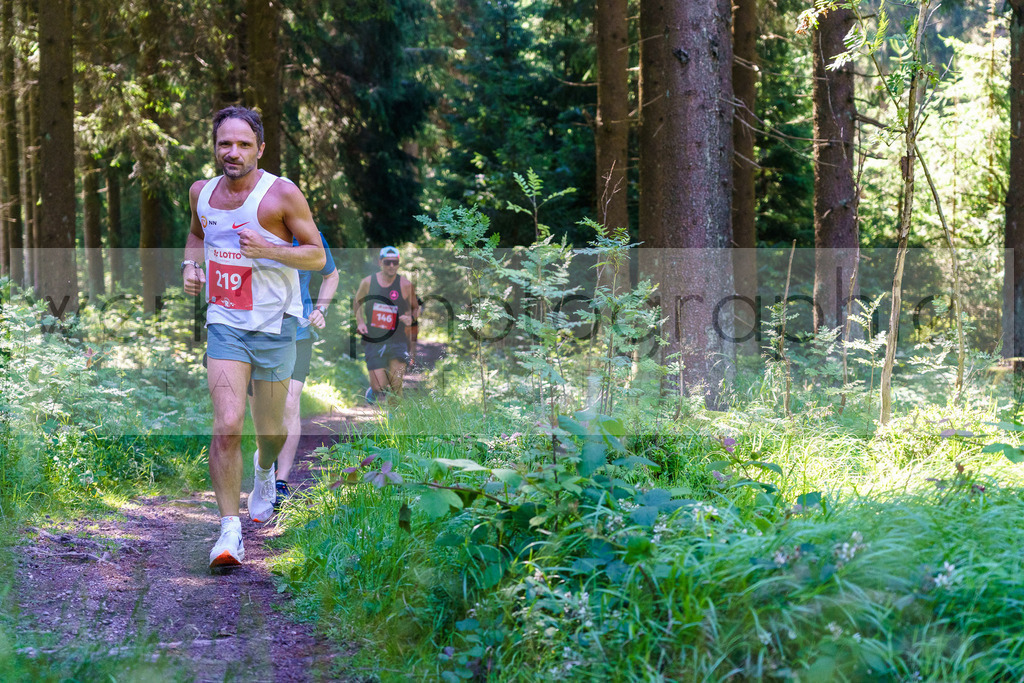Schneekopflauf 2024 | Am 6. Juli 2024 startete der 21. Schneekopflauf von Schmiedefeld zum Schneekopf.