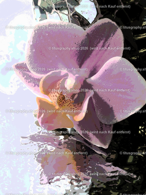 titusgraphy_P8040093_pe08-vz-ln | titusgraphy-shop: Geschenkideen mit Qualitätsfotos. titusgraphy-shop: gift ideas with quality photos. titusgraphy-shop: idées cadeaux avec photos de qualité.  - Realisiert mit Pictrs.com